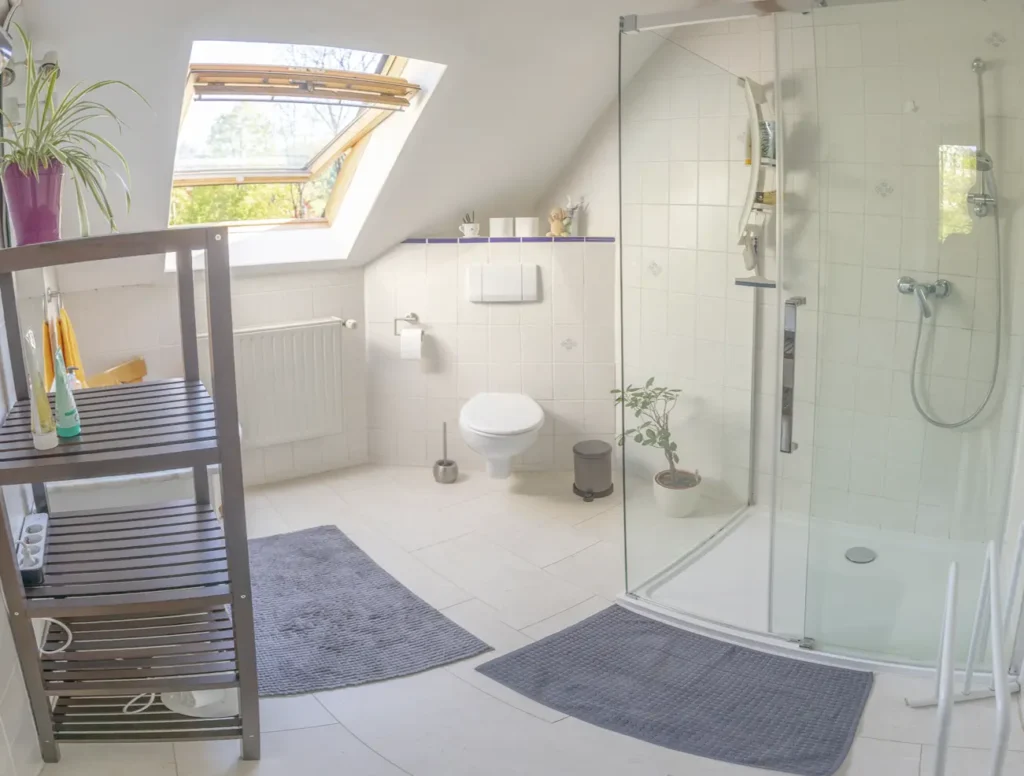 Haus Fumiko Obernhof Lahn - WC Dusche - 1
