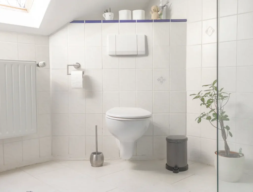 Haus Fumiko Obernhof Lahn - WC Dusche - 2